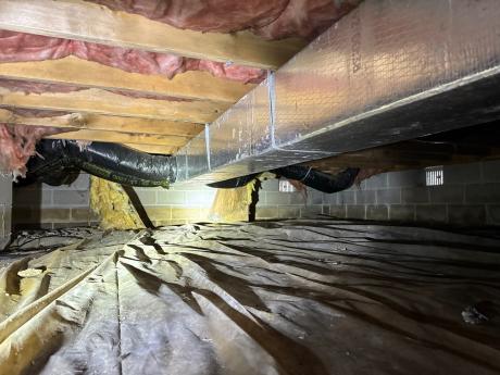 Why Should Crawl Space Vents Be Sealed? blog header image 