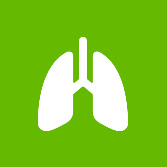 lung icon