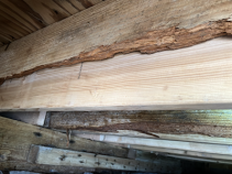 sister joists crawl space